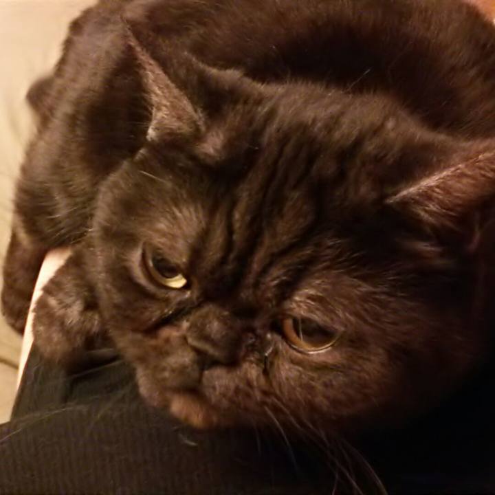 1f9a96e0 e5f9 495a aea2 f7f967e1b061 1554029635040