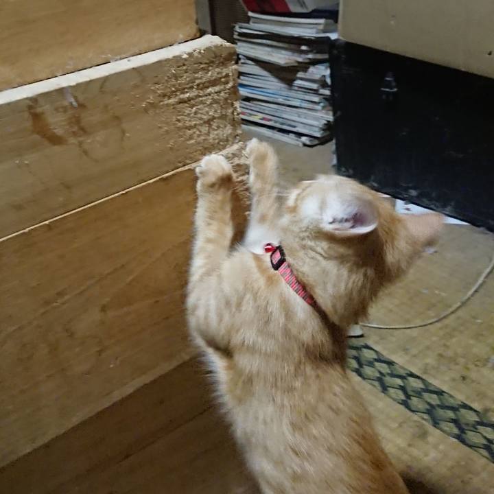 1f9aa608 5a58 435f bfaa 486dfb1de346 1632601987807