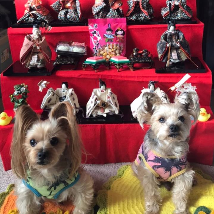 1f9abafc 6e36 4cbc 9ede 56f79e936c35 1583229589946