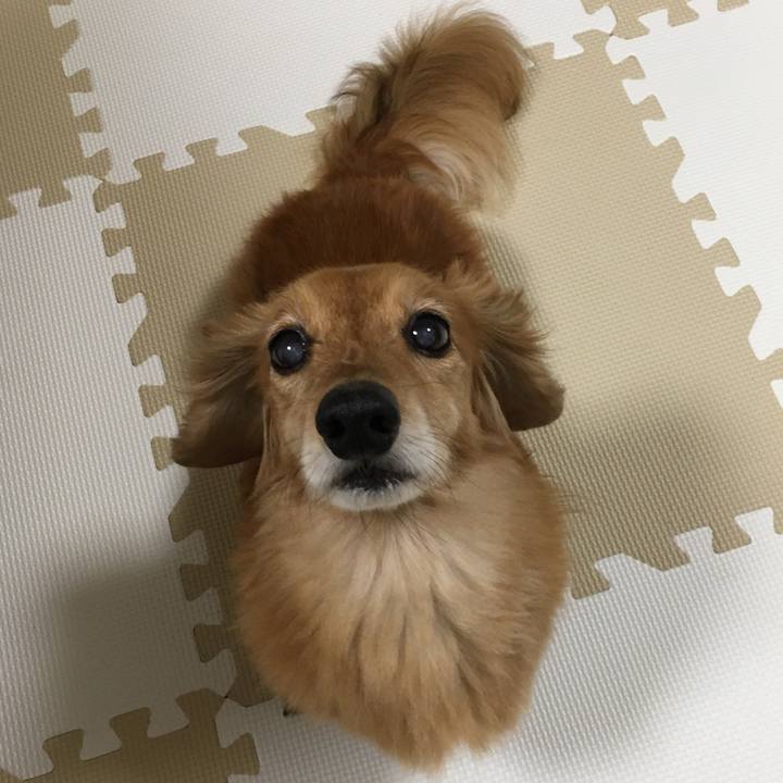 1f9ac9ae 5002 4cc9 b916 18dc856d4138 1621512822439