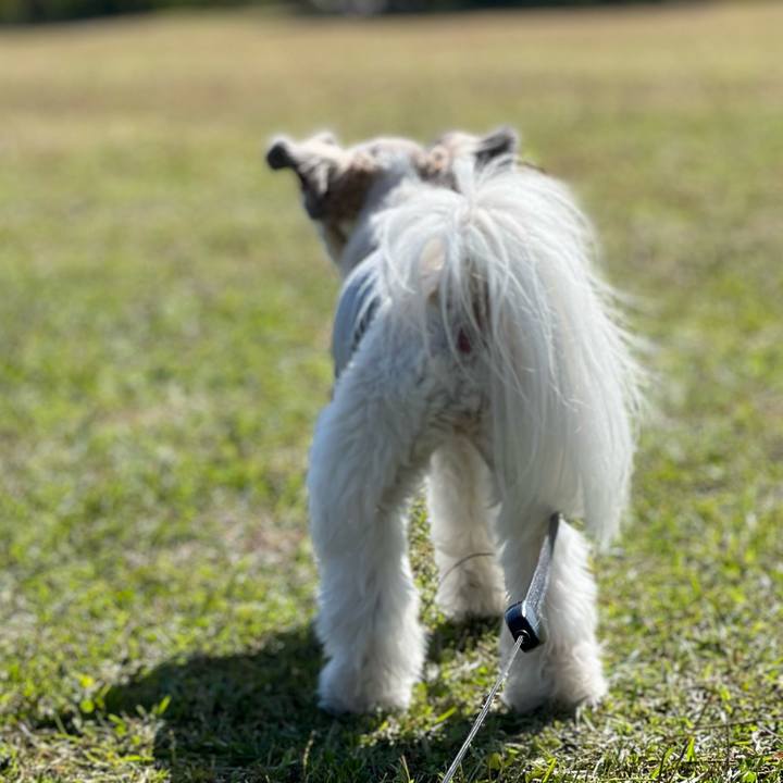 1f9af990 63c6 42a4 a263 ebf5bd142dde 1669171585861