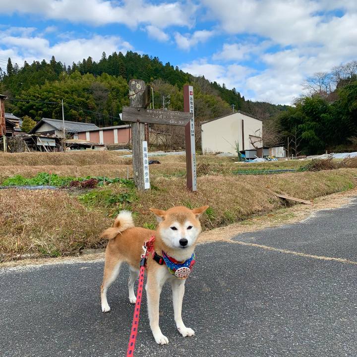 1f9afc77 853e 4c37 9475 759d64b477a4 1638966219083