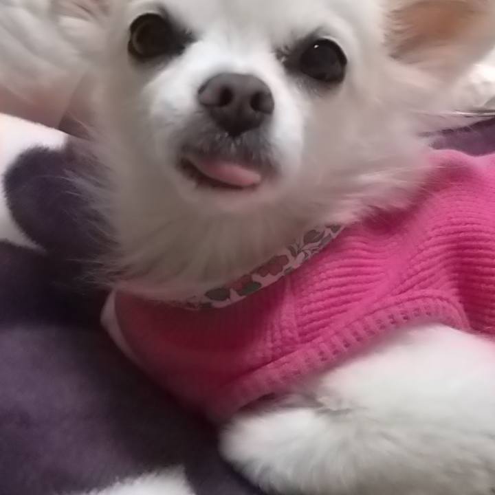 1f9b63b6 d7ea 4ec7 a4c7 a9b5fa2b11c1 1582458723970