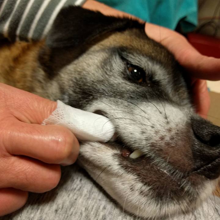 1f9bac83 924b 4f35 91c7 7a382f97f85d 1702256424354