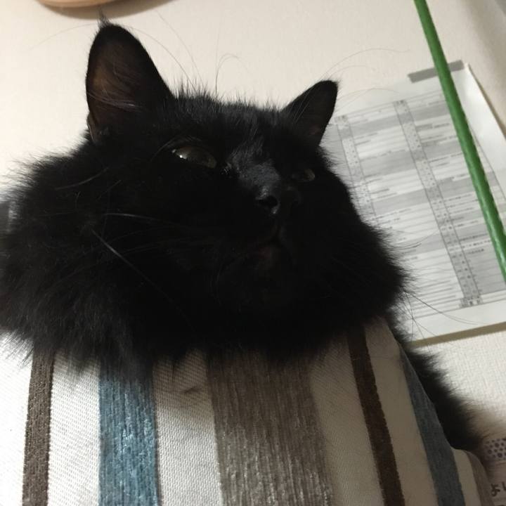 1f9bd1fa 3b4c 4d57 ab50 dca3009cded2 1541848699035