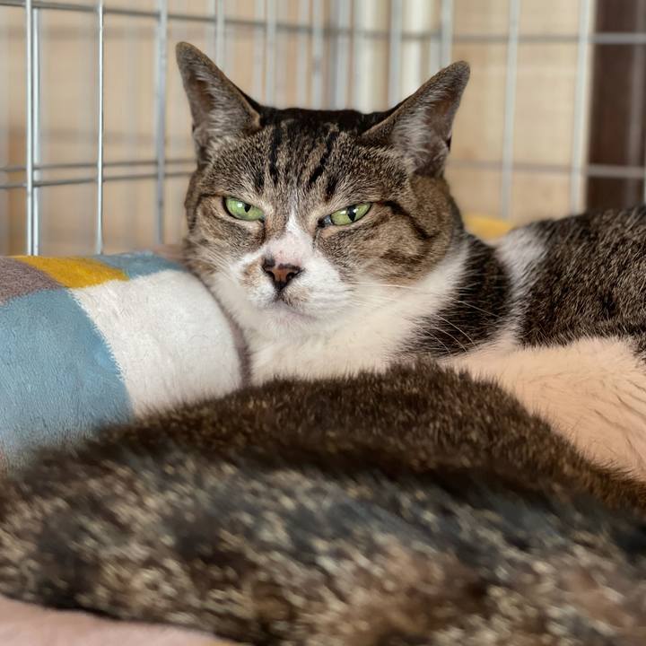 1f9bd65b 1b8e 44d7 b53d a88c3d8332c7 1623892256804