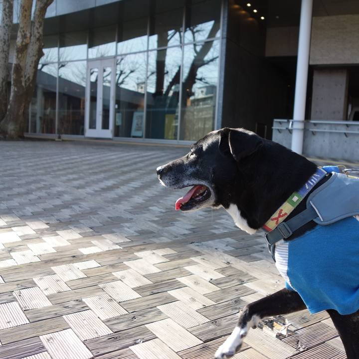 1f9bd705 f326 4502 bd15 c1046e5b0bf8 1742605148233