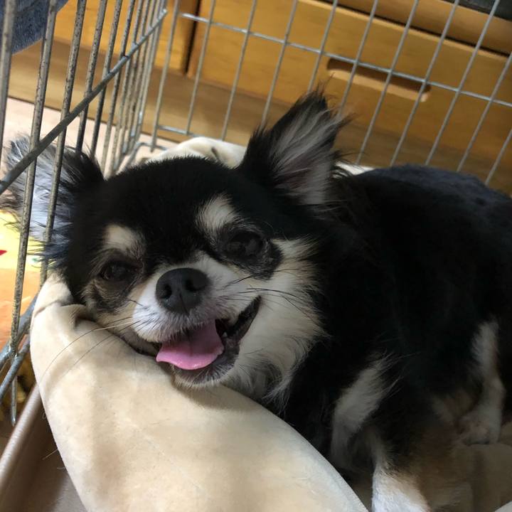 1f9bf544 6a5b 41bb 950a bc5523a22519 1531977222543