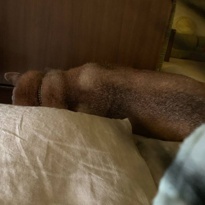 1f9c061f 94f9 453f 85af 4c81eb8b4061 1600987852586