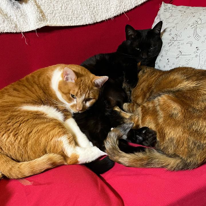 1f9c0db5 94ee 4e4b 9bd6 0fd6d5a48ad8 1732950764760