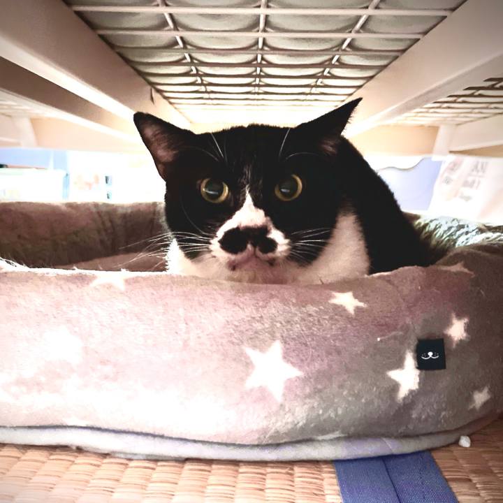 1f9c1d79 f609 401a 9bb0 5620a210084b 1659941093837