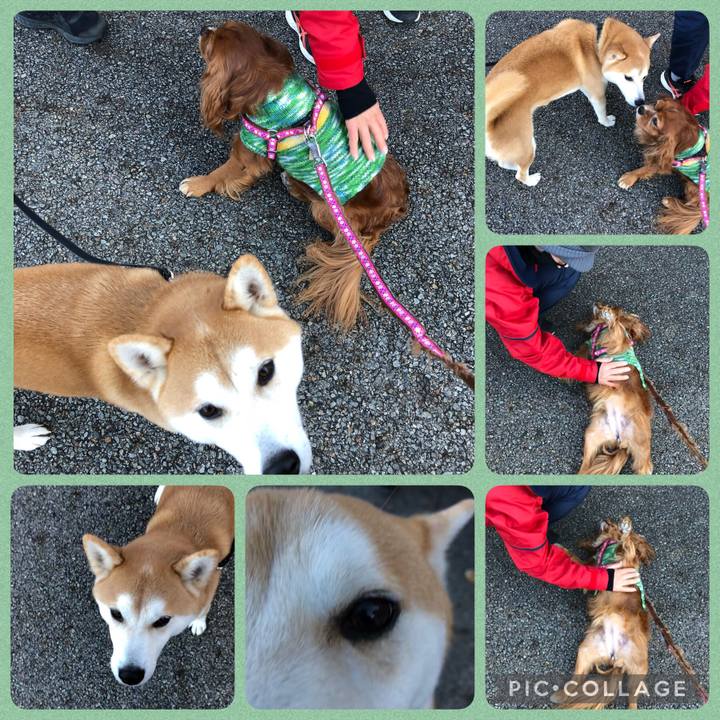 1f9c2d83 92bb 4634 a007 51be24e9ed65 1640004976184