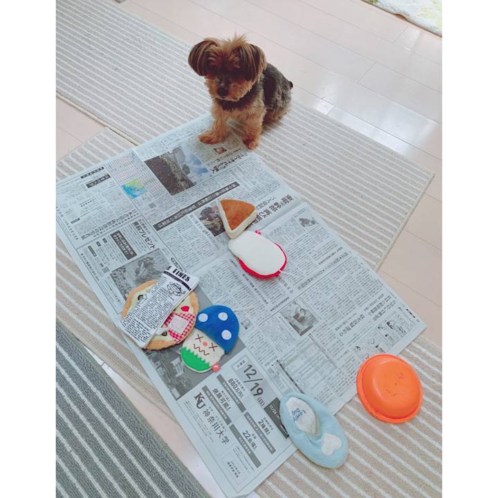 1f9ca667 5315 47d1 97dd d92474a16066 1635894311737