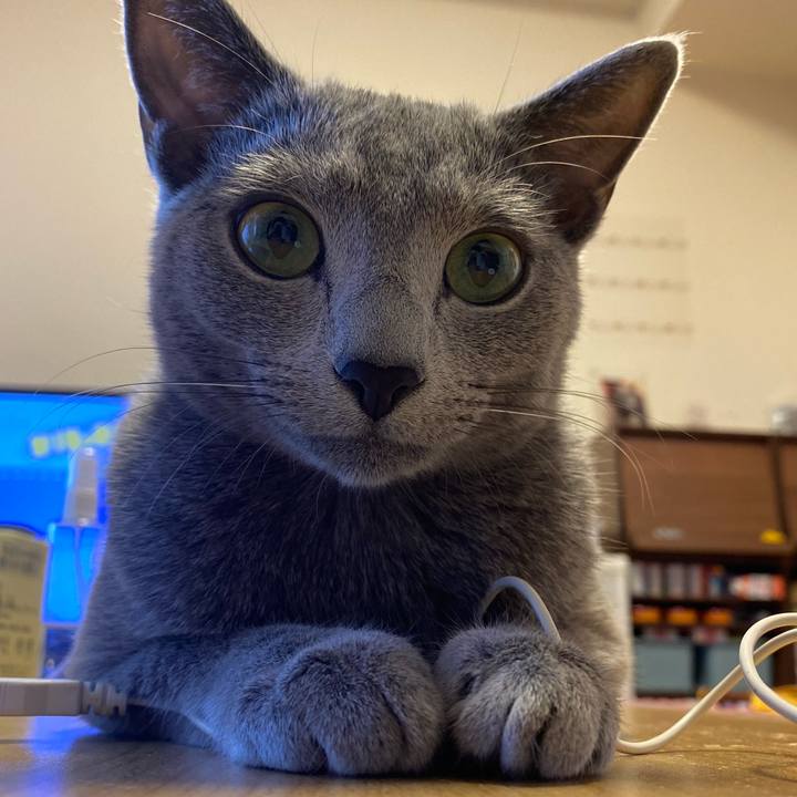 1f9cae95 89c2 4bb9 9c77 a43693f07c70 1624622394500