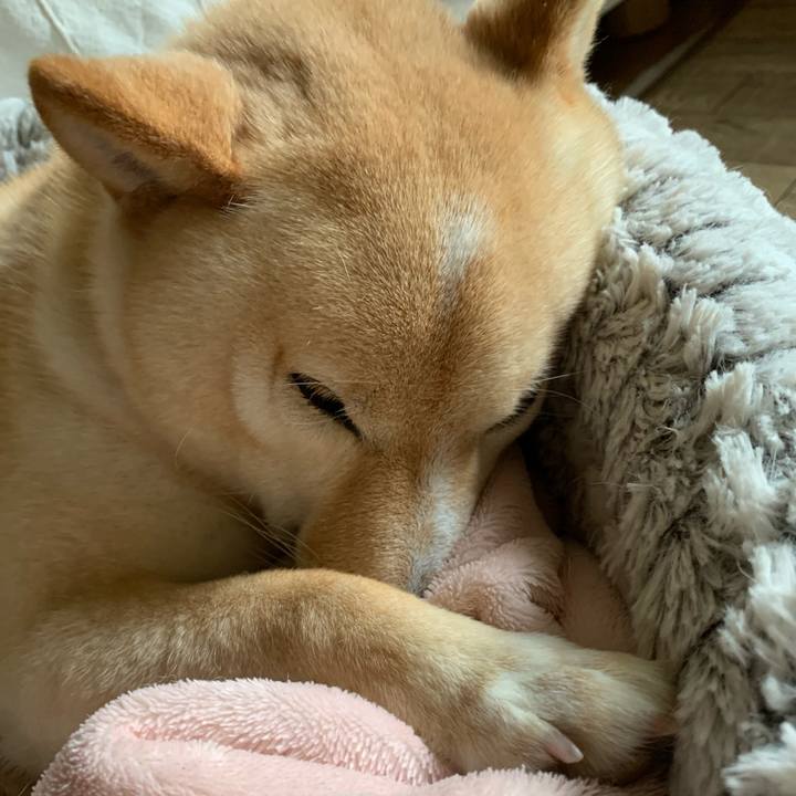 1f9ce13d c355 4fa1 9795 7e688aa58a14 1652415947879