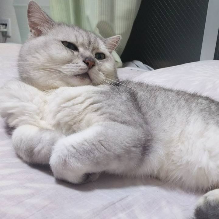 1f9cefc0 8642 45d3 b9fc c1d3bfa5e8b3 1528975444987