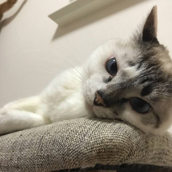 1f9d1af2 6900 42a1 8ae1 7e555d15f3e3 1531022262221