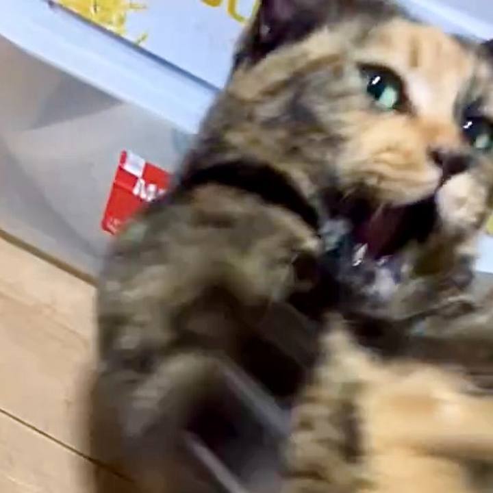 1f9d1f00 a170 4ecd 8bc7 366a72cc938f 1730884850738