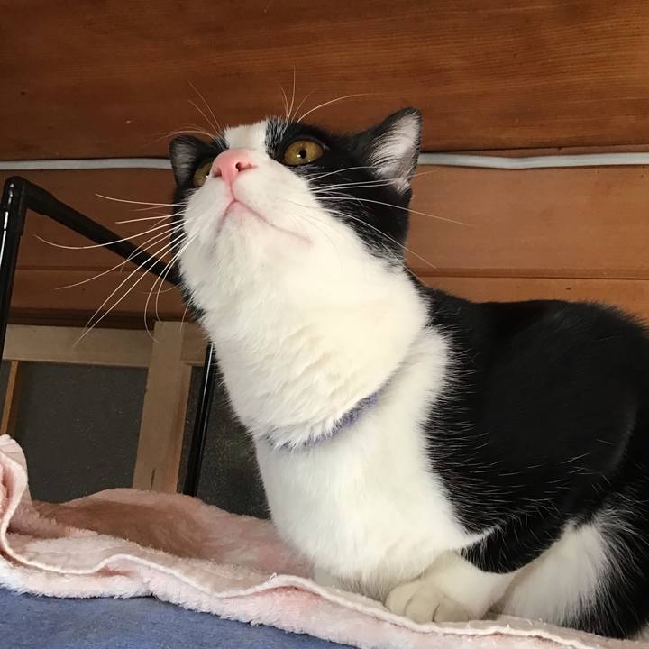 1f9d2488 a8e9 40e9 a496 a456edfb1cb9 1644198782112