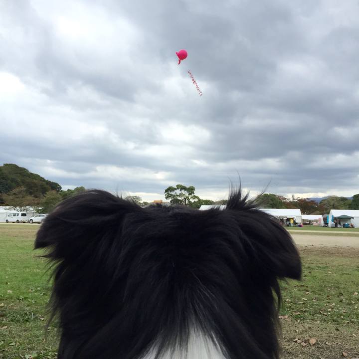 1f9d2dcf a0f8 4fbe b3f2 01e5473029ac 1540687192341