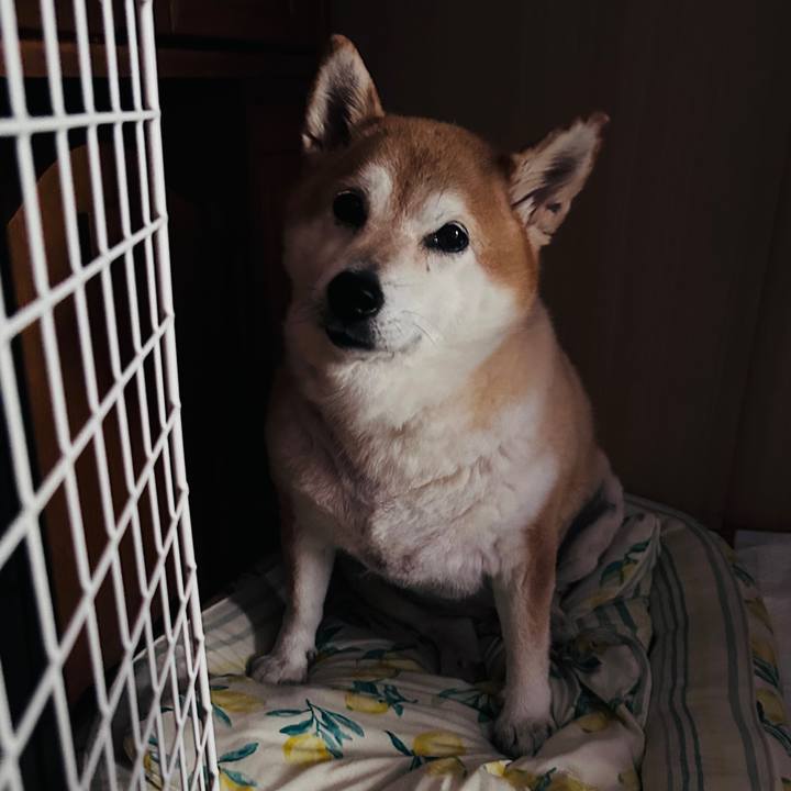 1f9d3868 f55a 4178 9f8b 1d398fb251df 1728433518426