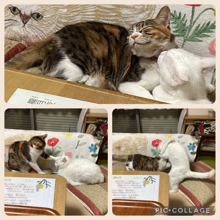 1f9d5121 d67e 46c9 ba6b 1e4ca93cf19e 1674257708007