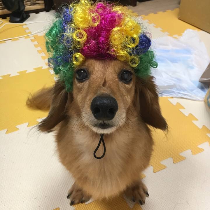 1f9d56cb f40e 474a 962e 00ccc8eba7fa 1540903802921