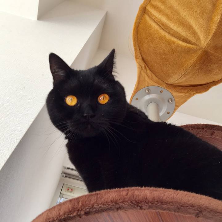 1f9d5db1 0501 4f0a 8dd5 00010cb1bf01 1554879810675