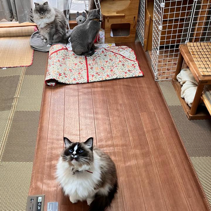 1f9d744f 381b 42ea 8c99 081cd49f5883 1672825054040