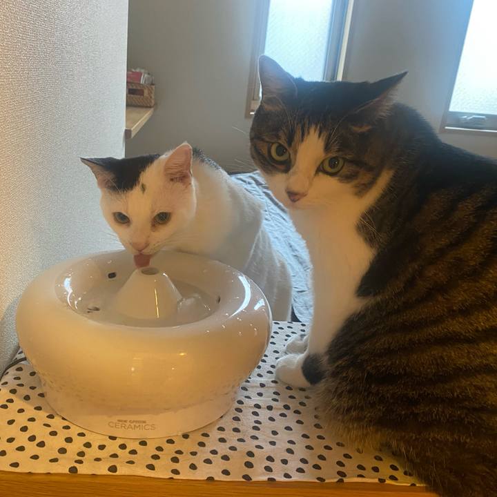 1f9d8270 a8f2 48c9 a9da b37e408eab49 1691537307388