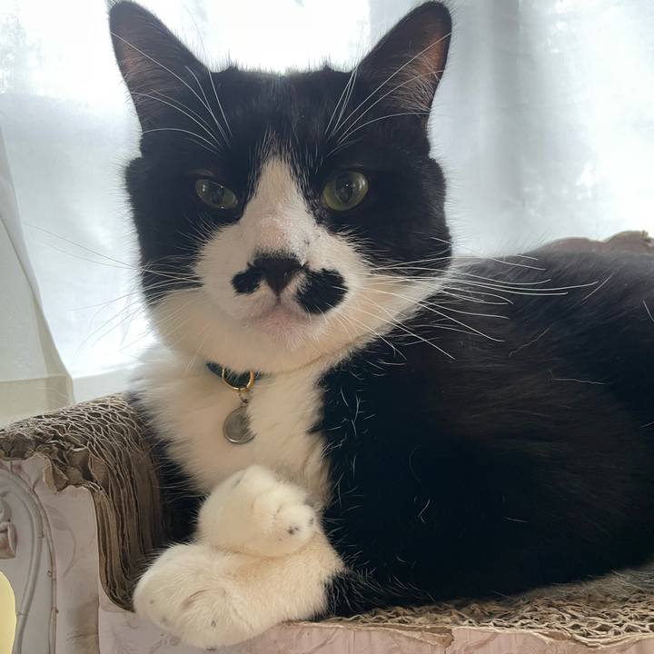 1f9da563 7888 498f b57c b9b96451f2f5 1723069447257