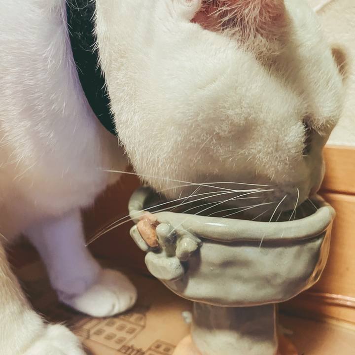 1f9dabe1 0f7f 47e0 ada5 8fcec02d95eb 1645318011221