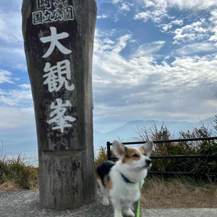 1f9dabeb e803 49d6 8491 4634d7151dfe 1763355866399