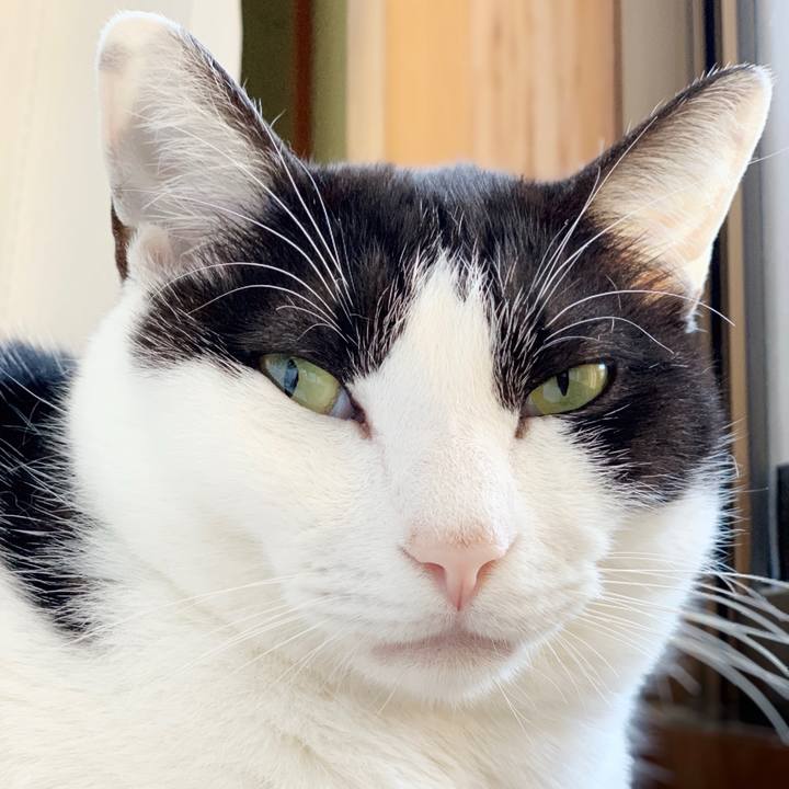 1f9dbe84 01fd 4a3d b7bf 111adfb31b79 1552962431901