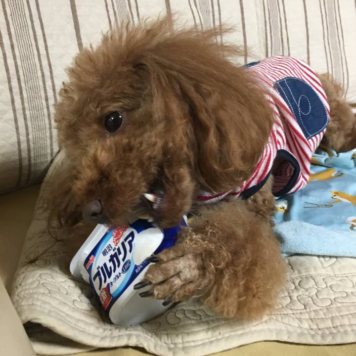 1f9dd970 7c3b 4bfd bb0b 4c99e9cc771f 1528624320947