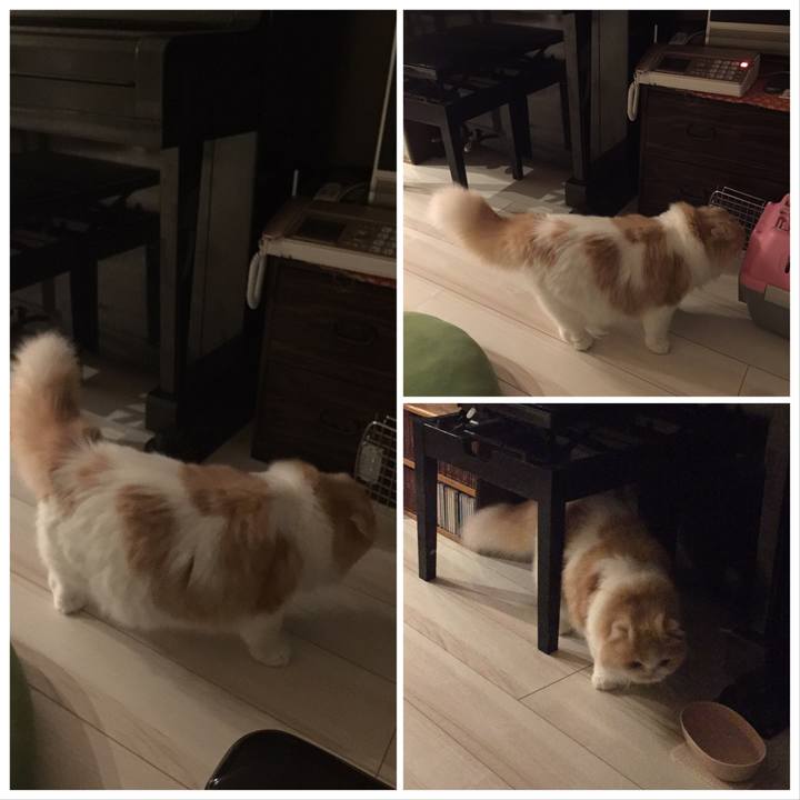 1f9deedf 4ff6 4c66 8cae 2c8c5071232f 1572095518204