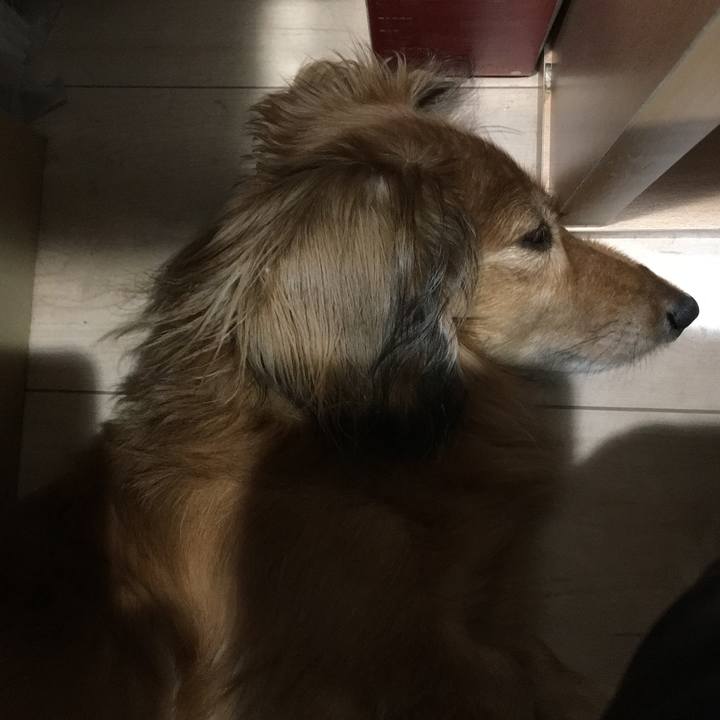 1f9e2092 a0d8 4993 ac29 fd4d5692f3fc 1564920640414