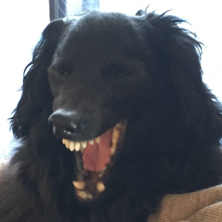 1f9e4431 ce4b 4437 852f 6b6fa2492632 1671942416227