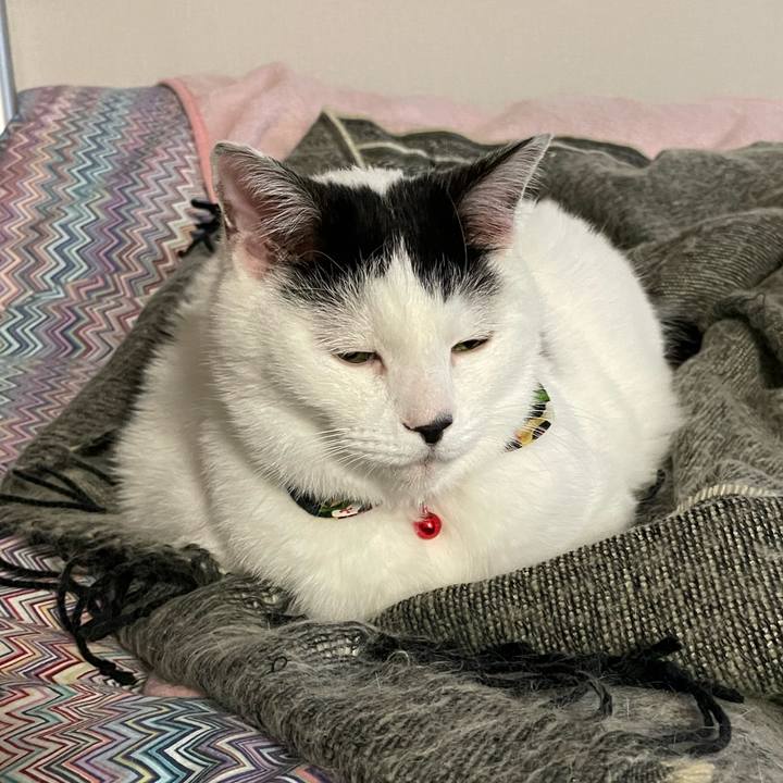 1f9e533f 42ff 4e6f 863c b821f1e64108 1638920972260