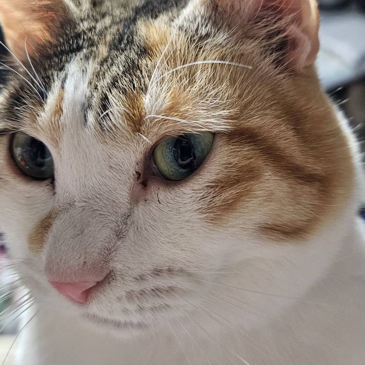 1f9e6f75 6725 43e0 90a5 bab8943bb3eb 1767440540858