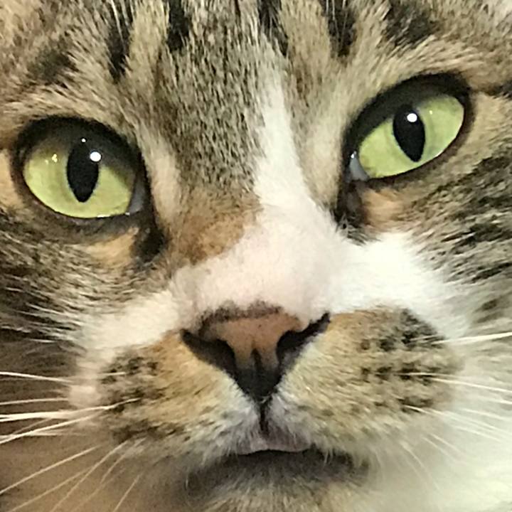 1f9eb9ca e955 42b6 b528 88c4c160b3bc 1555076886861