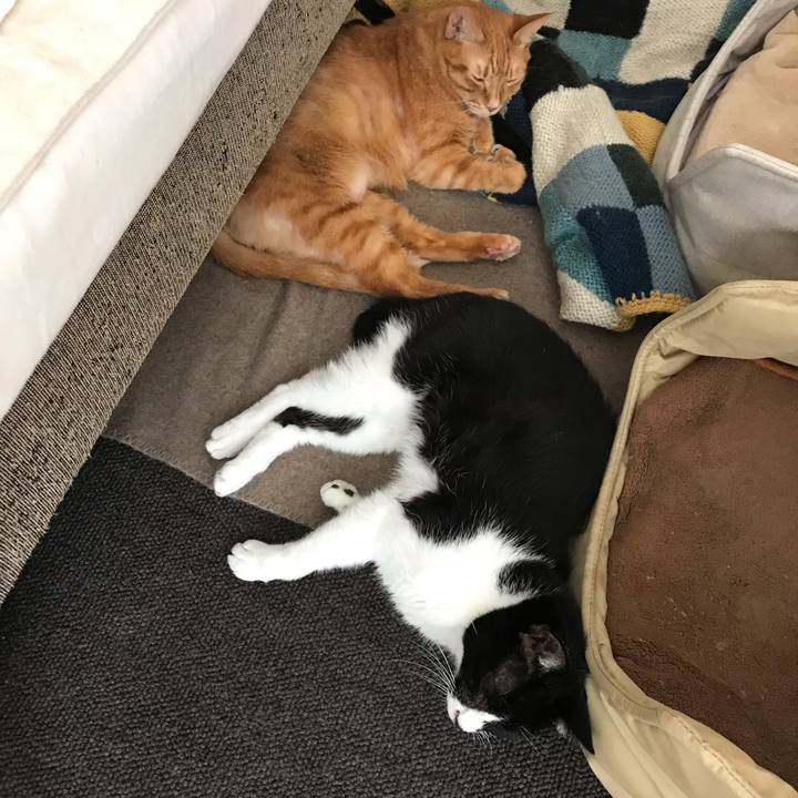 1f9ec131 53c2 44bf 8bb1 c7afe15d9adb 1550154031274