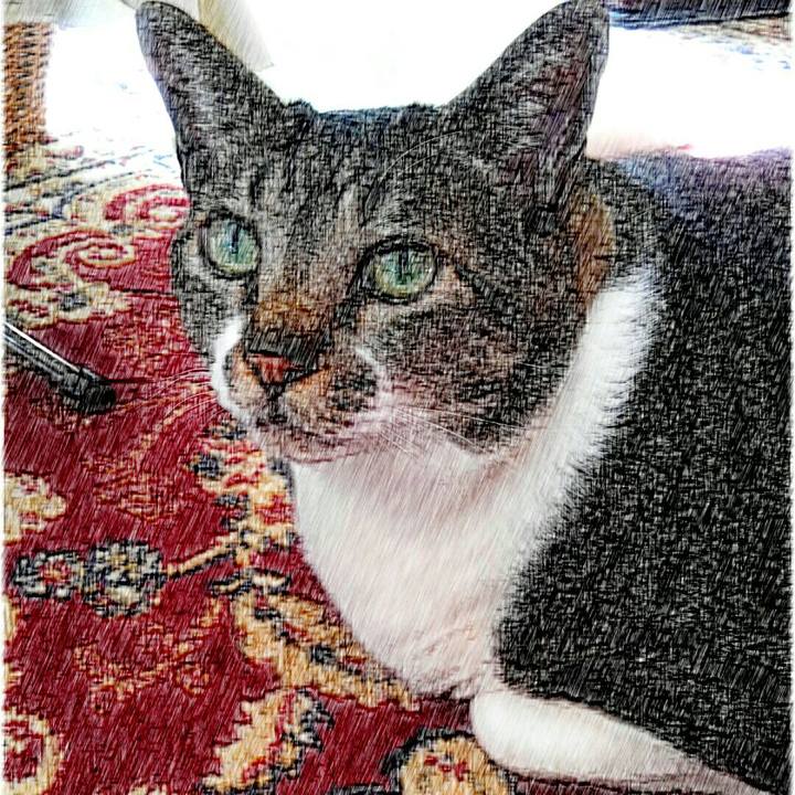 1f9ed594 36a7 41de 9a0b 0596a5712b86 1520034174419