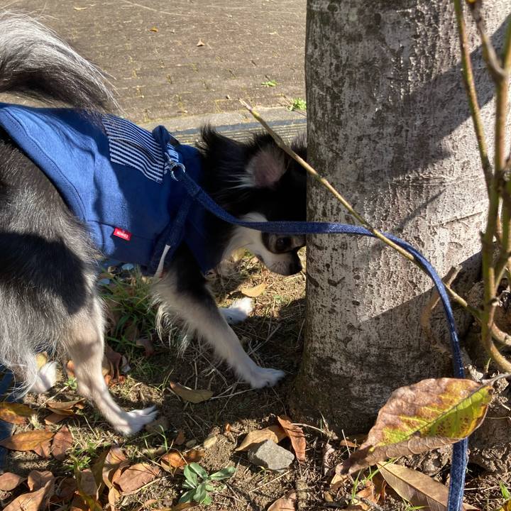 1f9ee8ff 9b43 4f7f b2e5 ade52aae0cf9 1667714177846