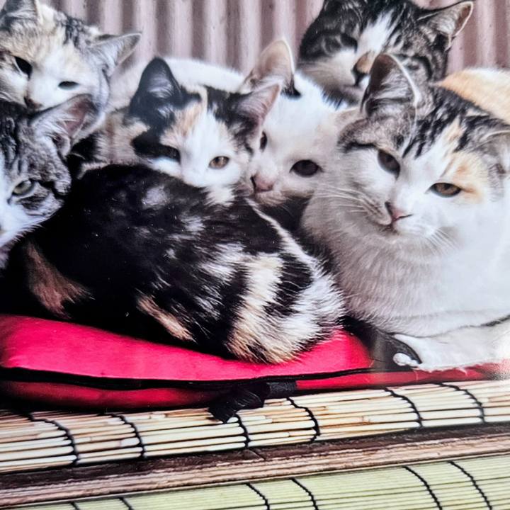 1f9f007e 15ae 49f8 8bae 1efc727a90d1 1757067506034