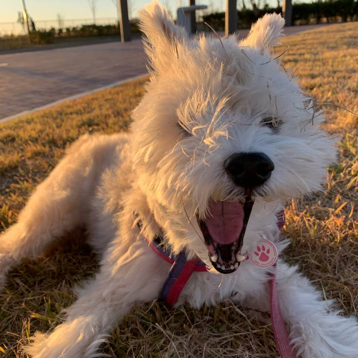 1f9f04d4 18ee 41bd 977a cdb521948f2a 1636619475704