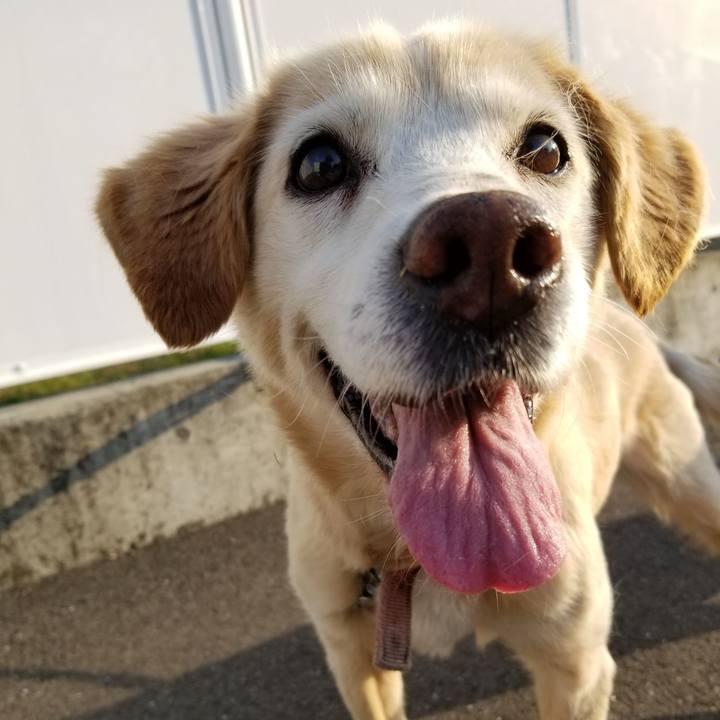 1f9f071b 83cb 4ba1 952b 0aceab6fcb77 1653342297034