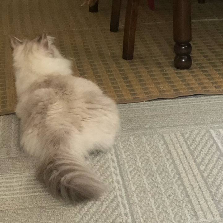 1f9f0b81 8a64 4925 8632 8cadf2b7d57b 1694581768870