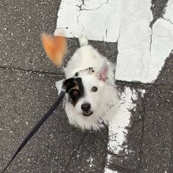 1f9f0bdc 7b39 4a9e 9d75 7adfc7e671b9 1664870011380