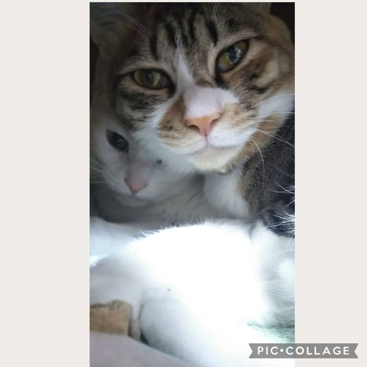 1f9f13ce e9a4 4f0f af01 3ef621377885 1677965761157